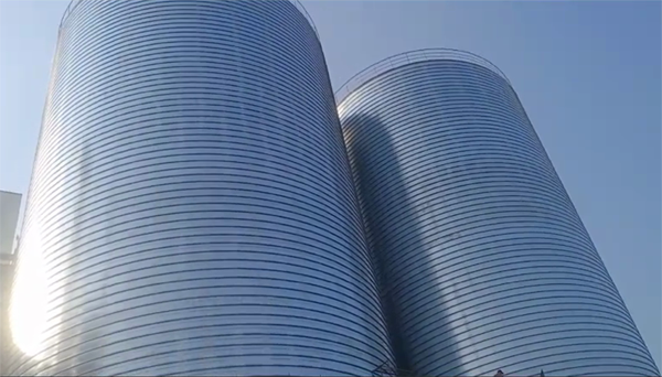 依安2座混凝土高架卷板仓